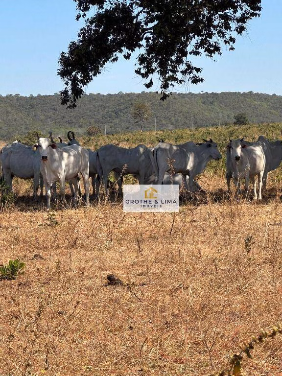 Fazenda de 1.158 ha em Novo São Joaquim, MT