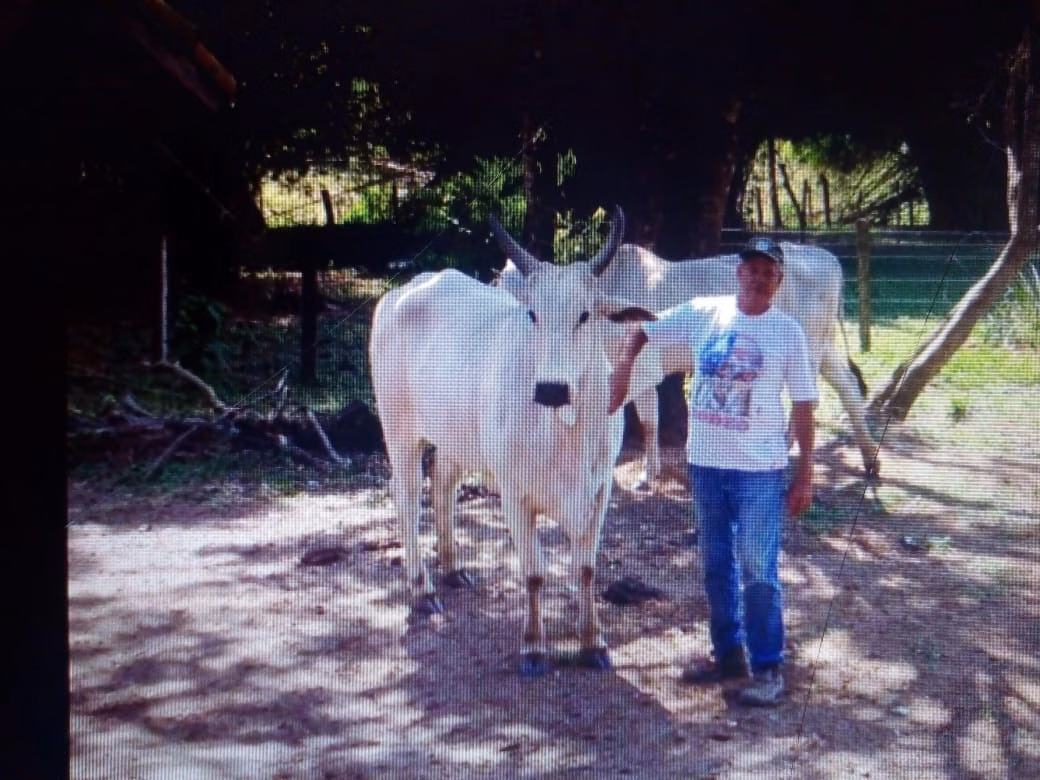 Sítio de 48 ha em Cambuí, MG