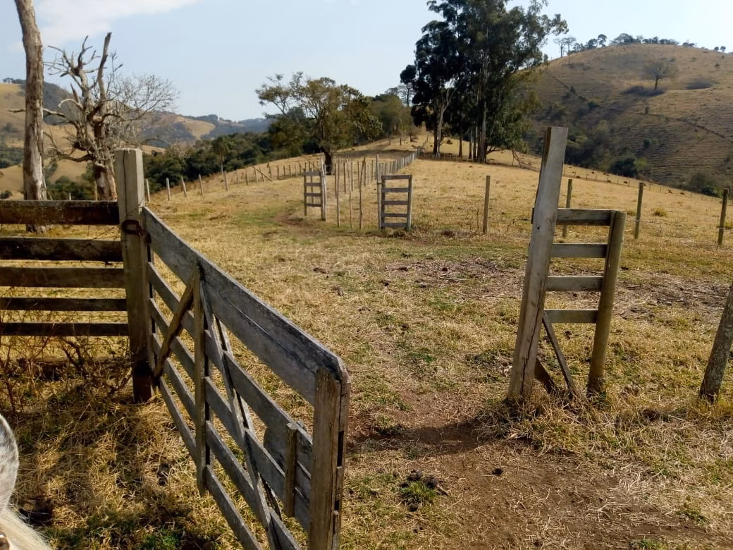 Sítio de 48 ha em Cambuí, MG