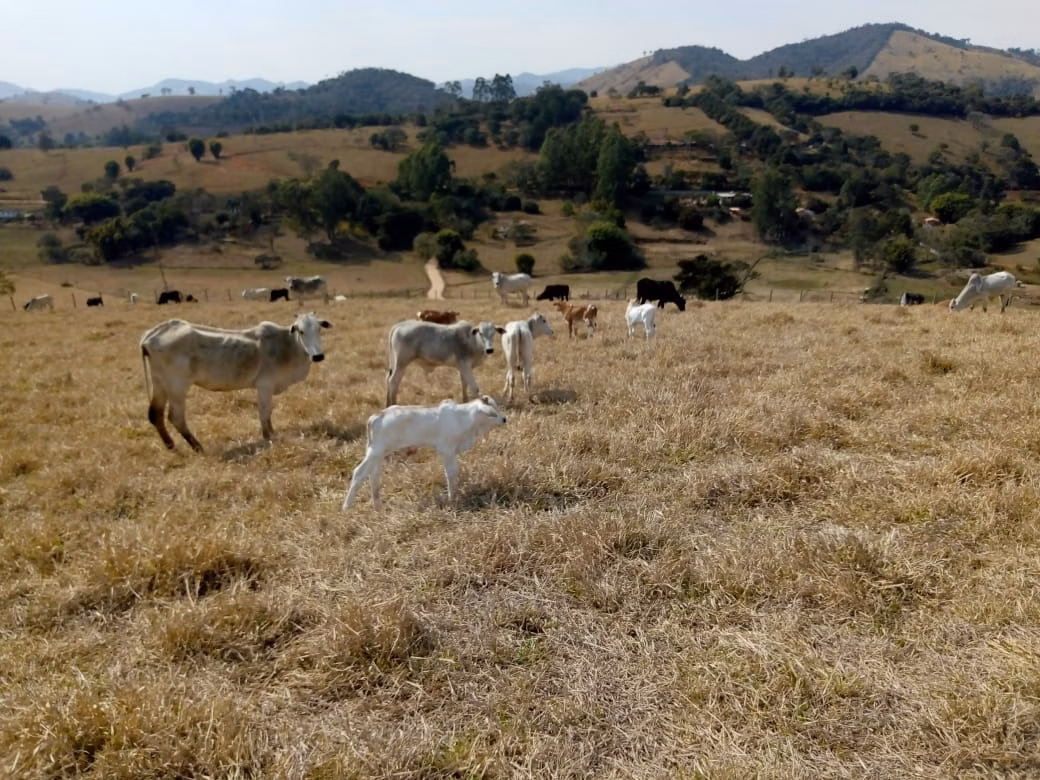 Sítio de 48 ha em Cambuí, MG