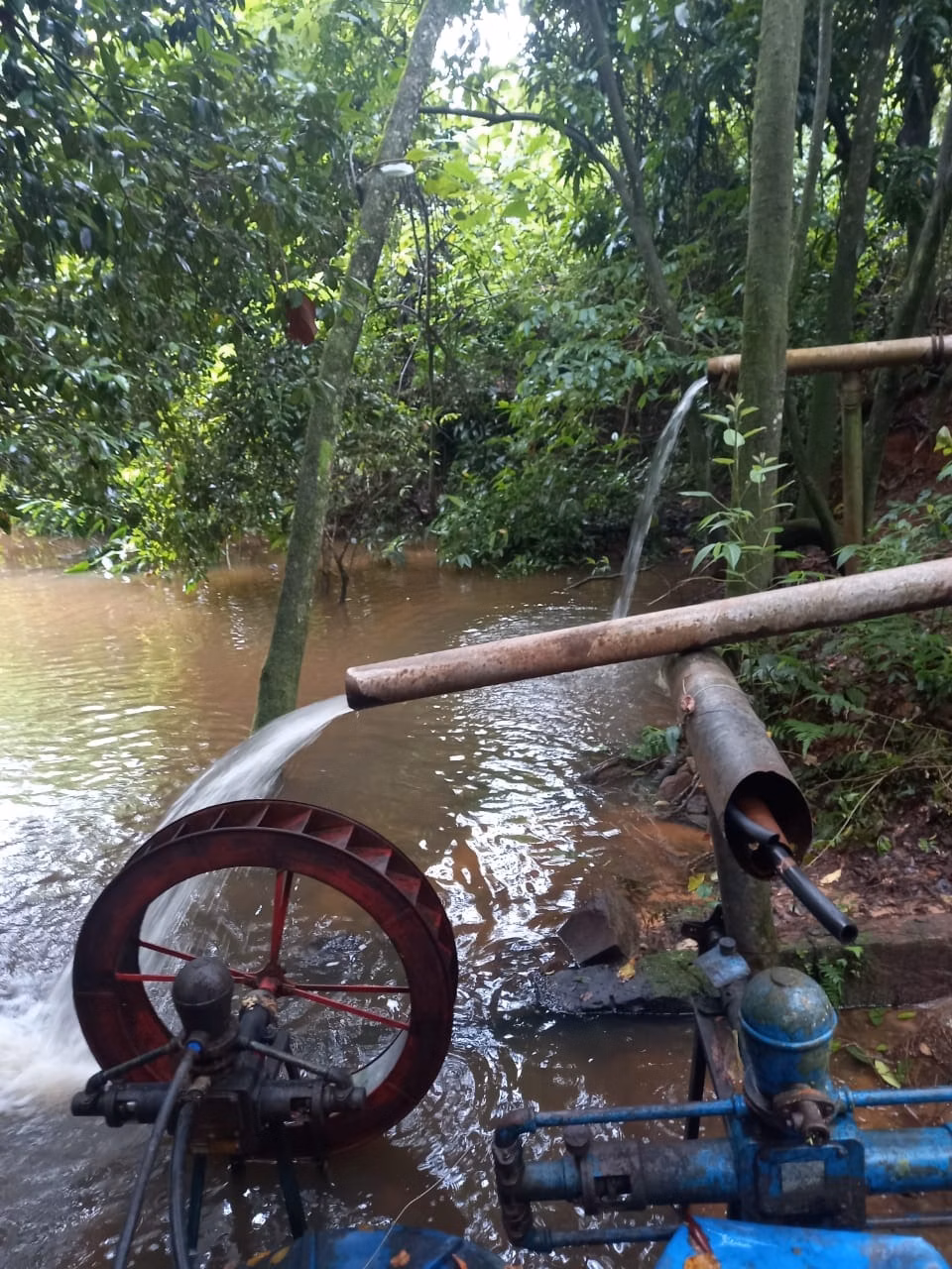 Fazenda de 438 ha em Araraquara, SP