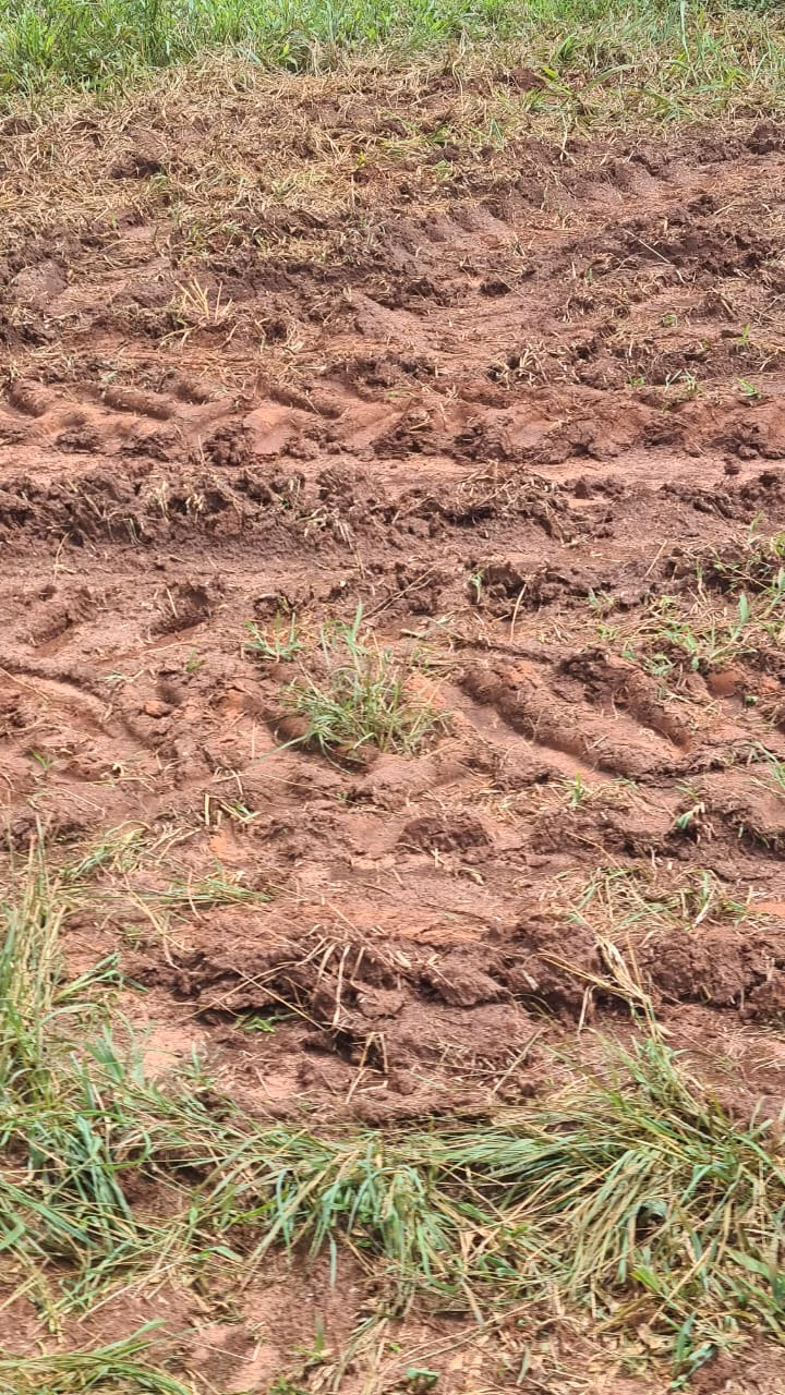 Farm of 1.082 acres in Araraquara, SP, Brazil
