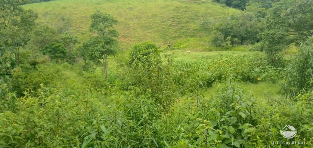 Plot of 7 acres in São José dos Campos, SP, Brazil