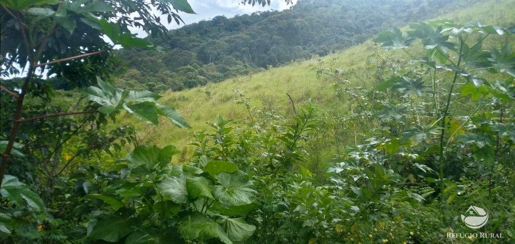 Plot of 7 acres in São José dos Campos, SP, Brazil
