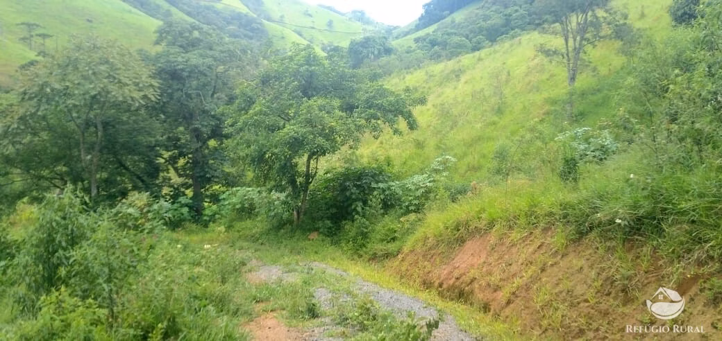 Plot of 7 acres in São José dos Campos, SP, Brazil