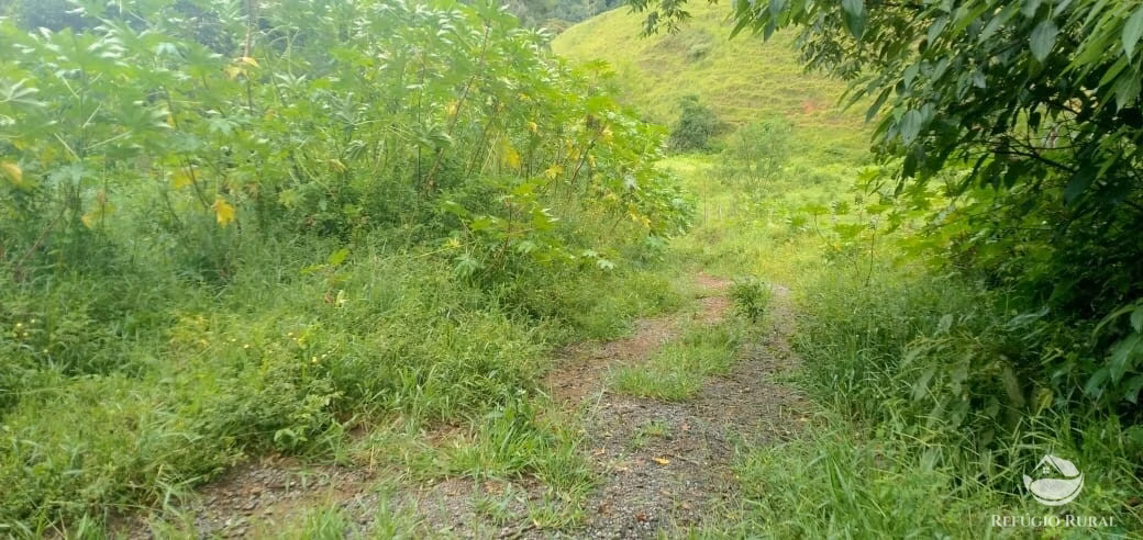 Plot of 7 acres in São José dos Campos, SP, Brazil