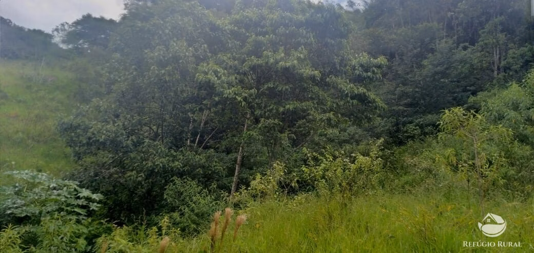 Plot of 7 acres in São José dos Campos, SP, Brazil