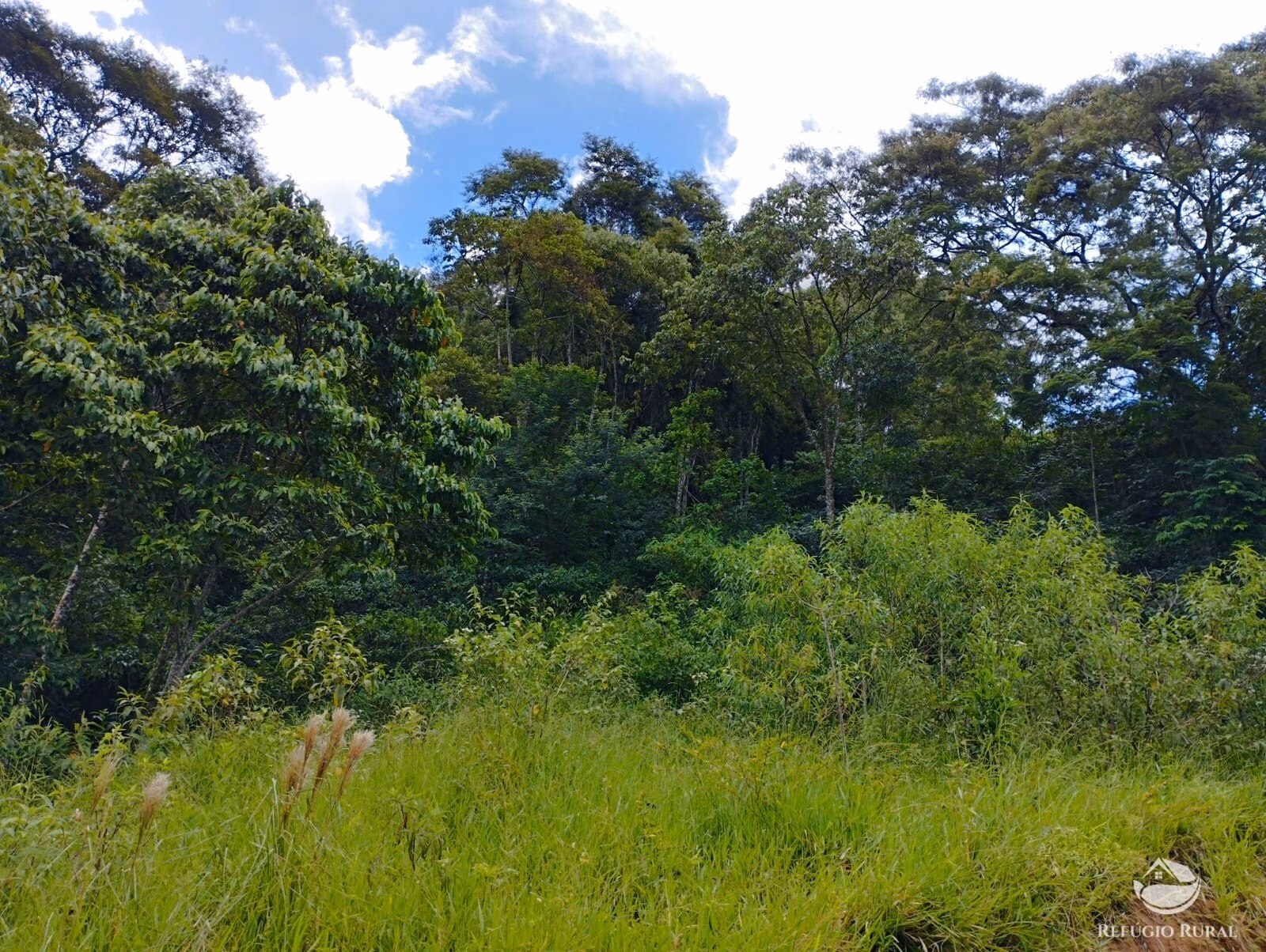 Plot of 7 acres in São José dos Campos, SP, Brazil