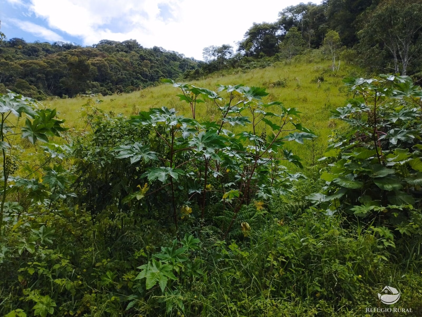 Plot of 7 acres in São José dos Campos, SP, Brazil