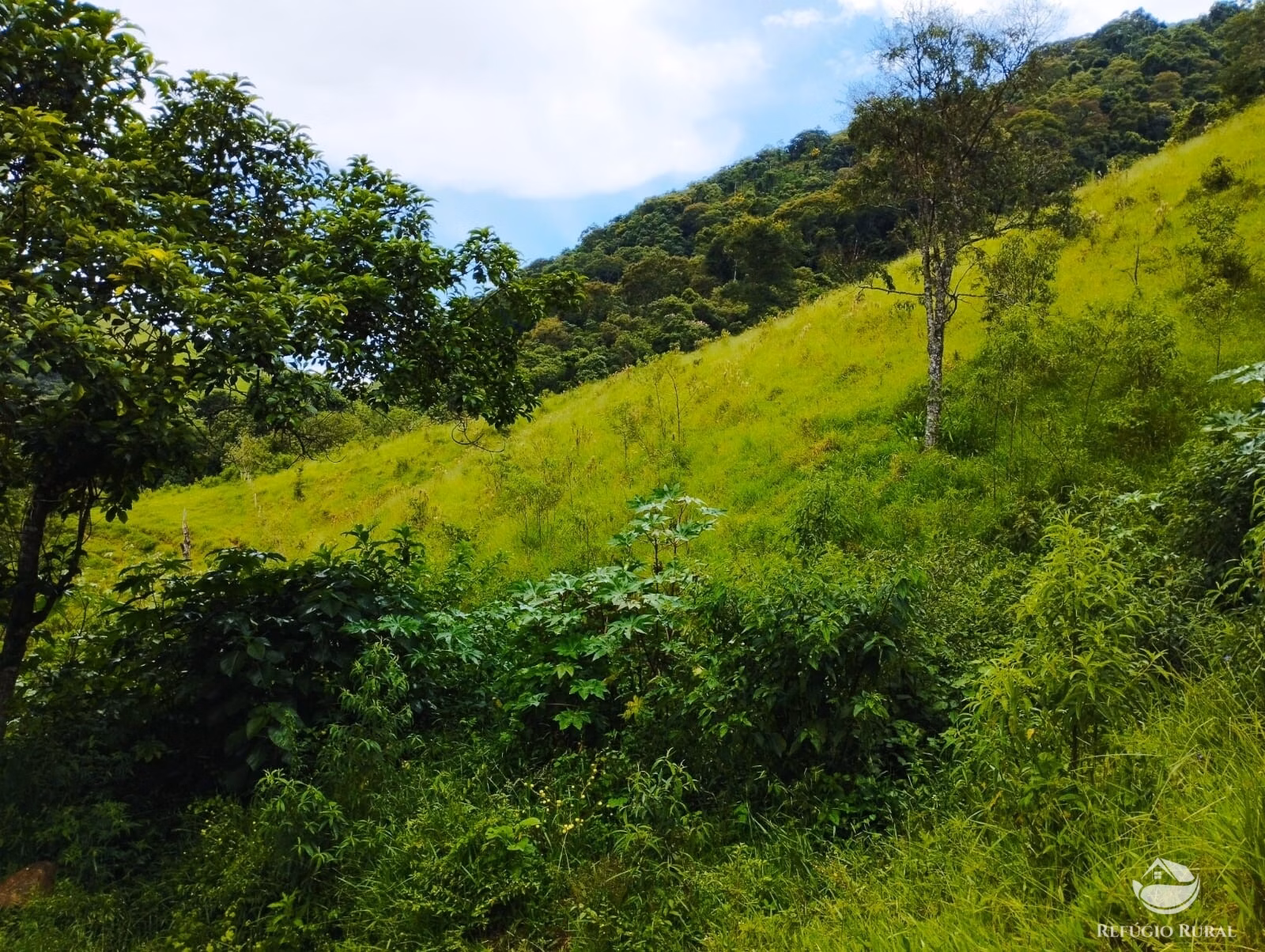 Plot of 7 acres in São José dos Campos, SP, Brazil