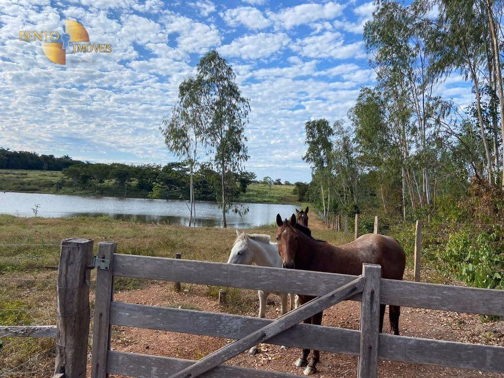 Sítio de 40 ha em Várzea Grande, MT