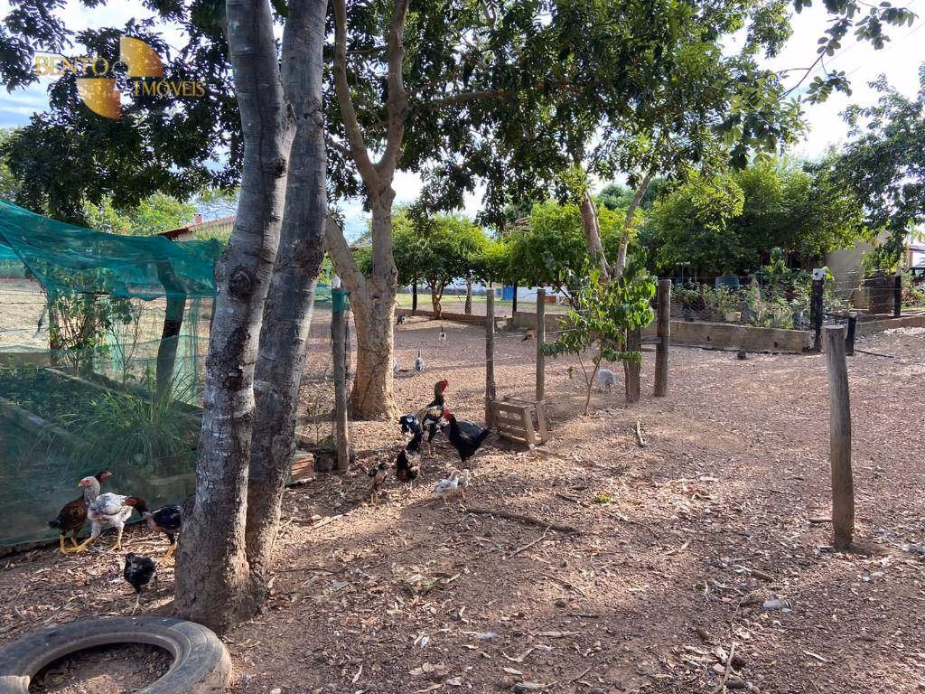 Sítio de 40 ha em Várzea Grande, MT