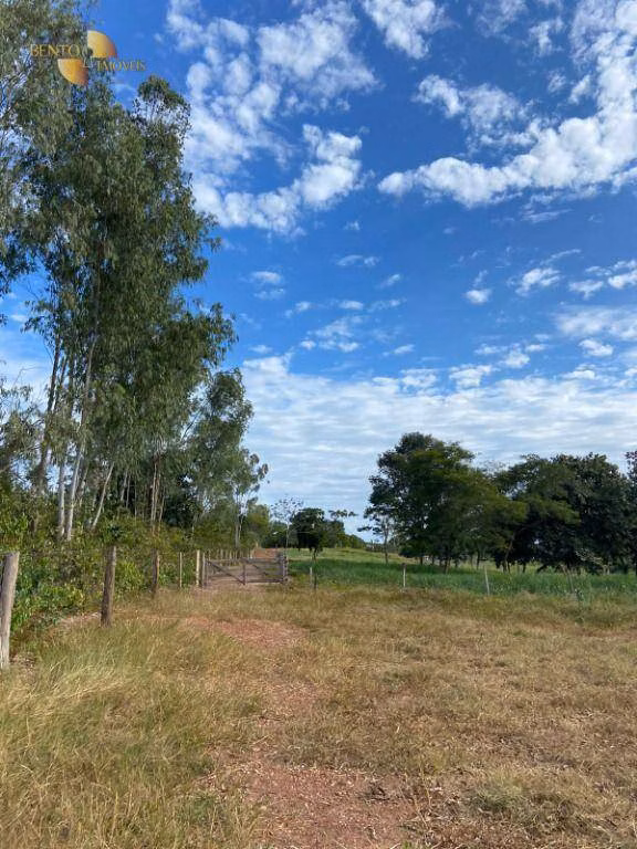 Sítio de 40 ha em Várzea Grande, MT
