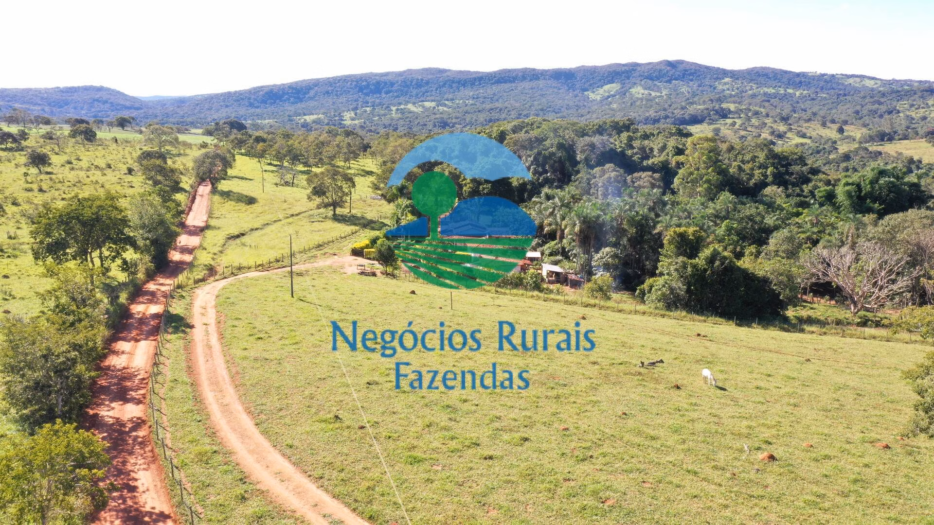Sítio de 96 ha em Hidrolândia, GO