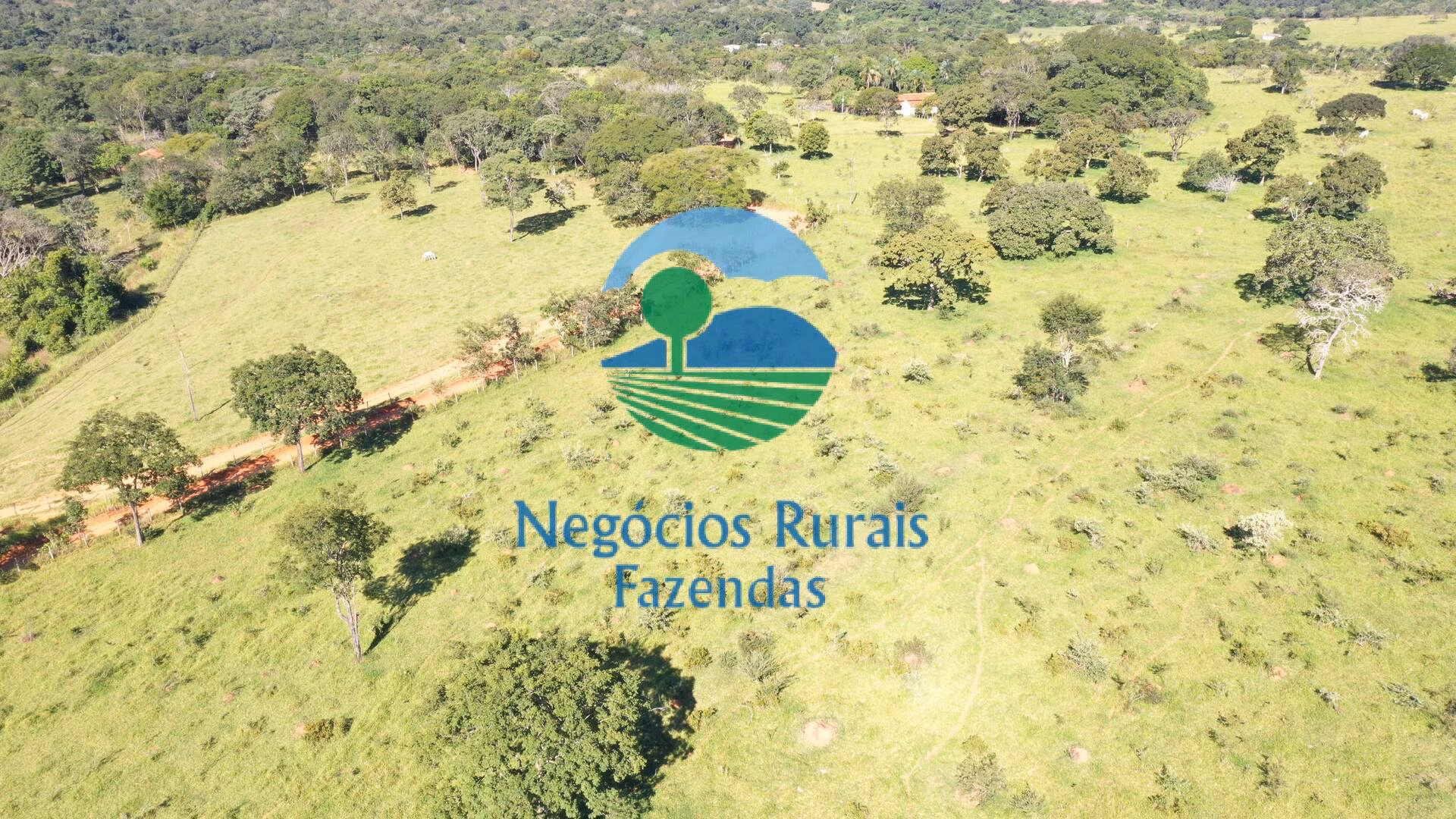Sítio de 96 ha em Hidrolândia, GO