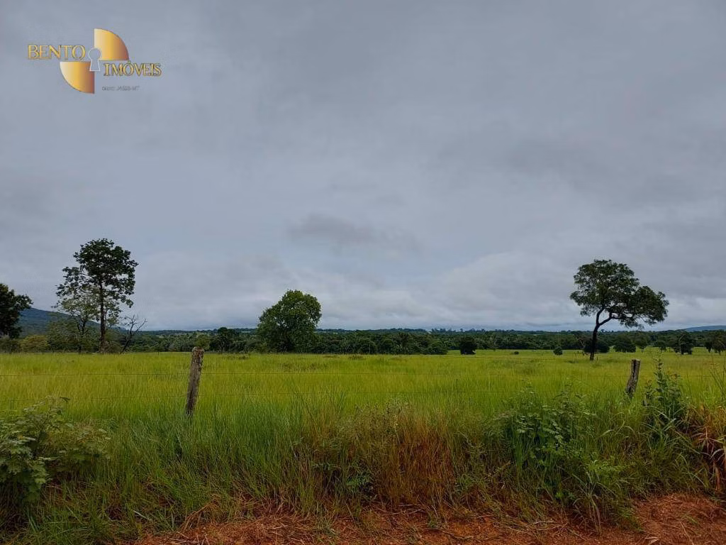 Fazenda de 726 ha em Porto Estrela, MT