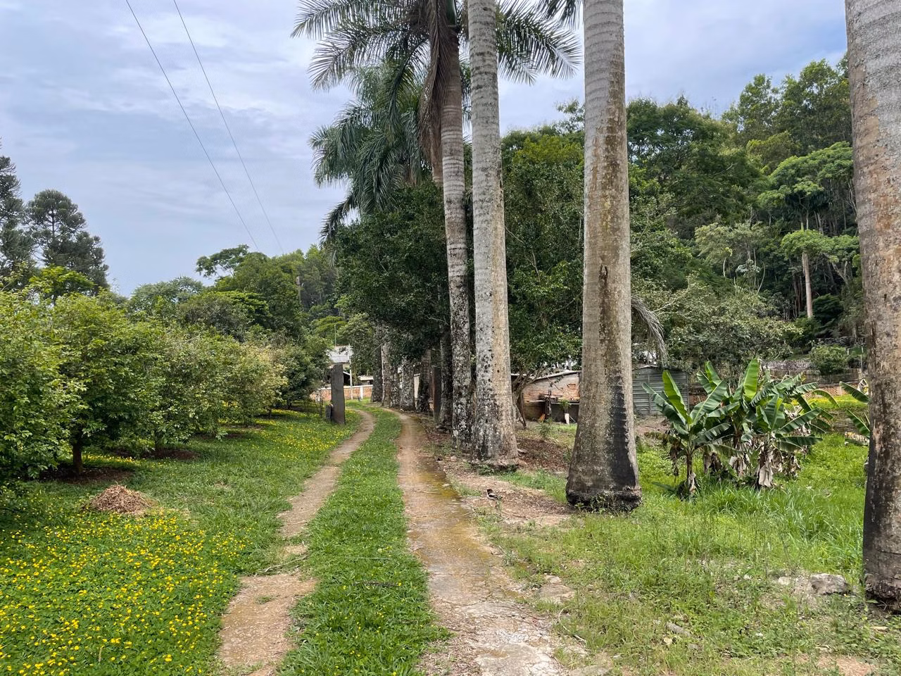 Terreno de 2 ha em São José dos Campos, SP
