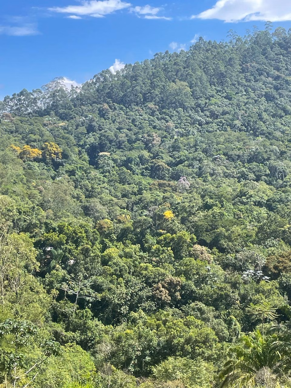 Terreno de 2 ha em São José dos Campos, SP