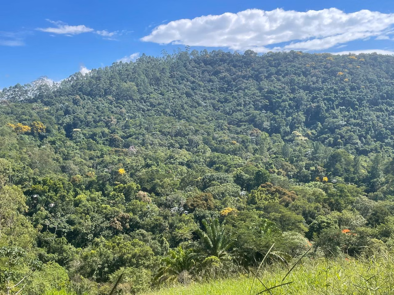 Terreno de 2 ha em São José dos Campos, SP
