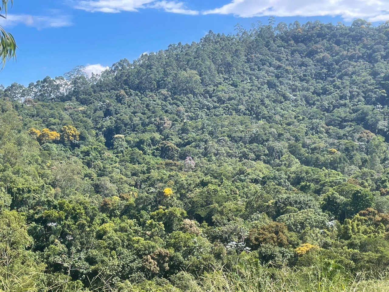 Terreno de 2 ha em São José dos Campos, SP
