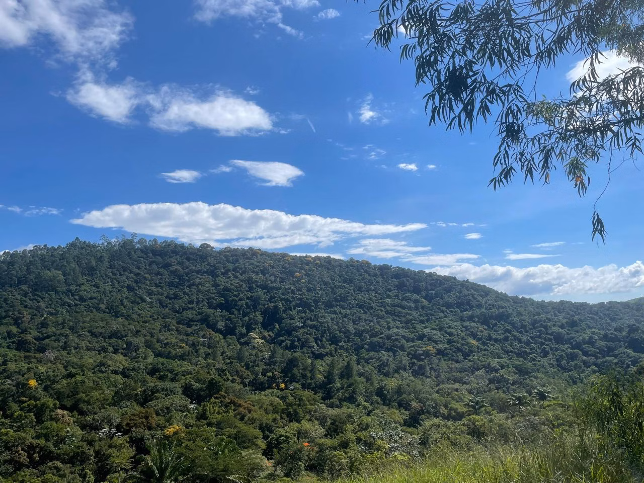Terreno de 2 ha em São José dos Campos, SP