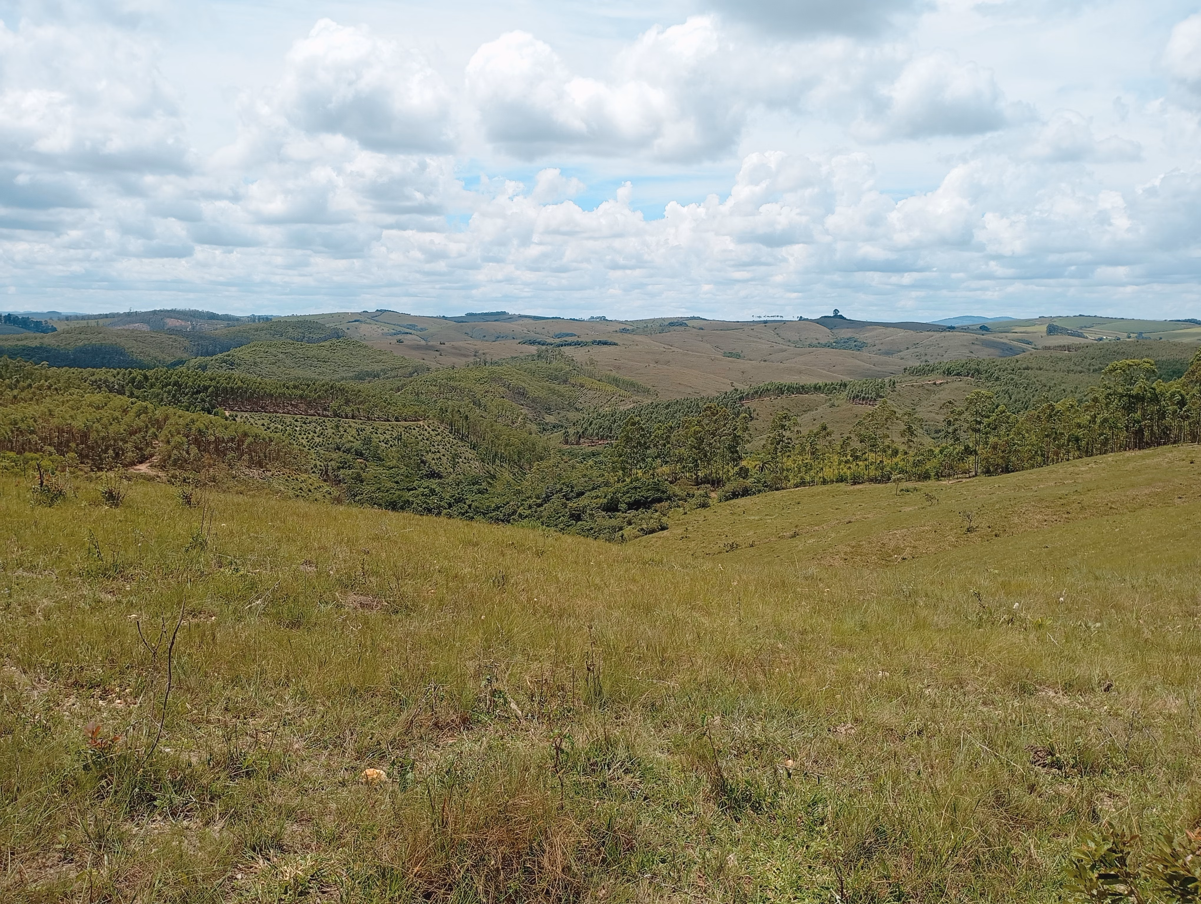 Farm of 395 acres in São João del Rei, MG, Brazil