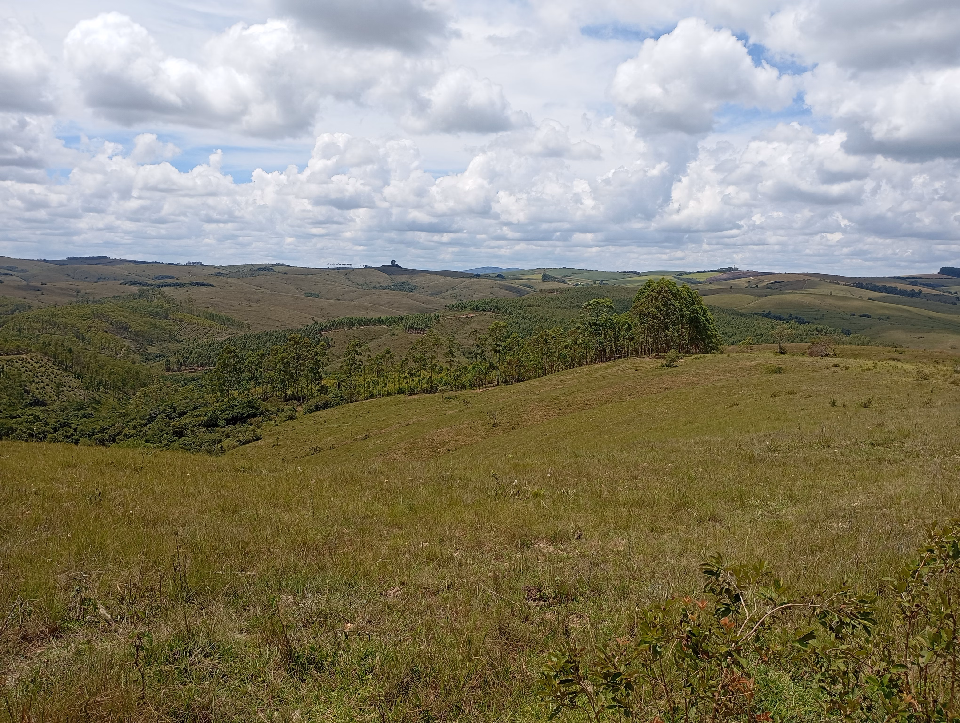 Farm of 395 acres in São João del Rei, MG, Brazil