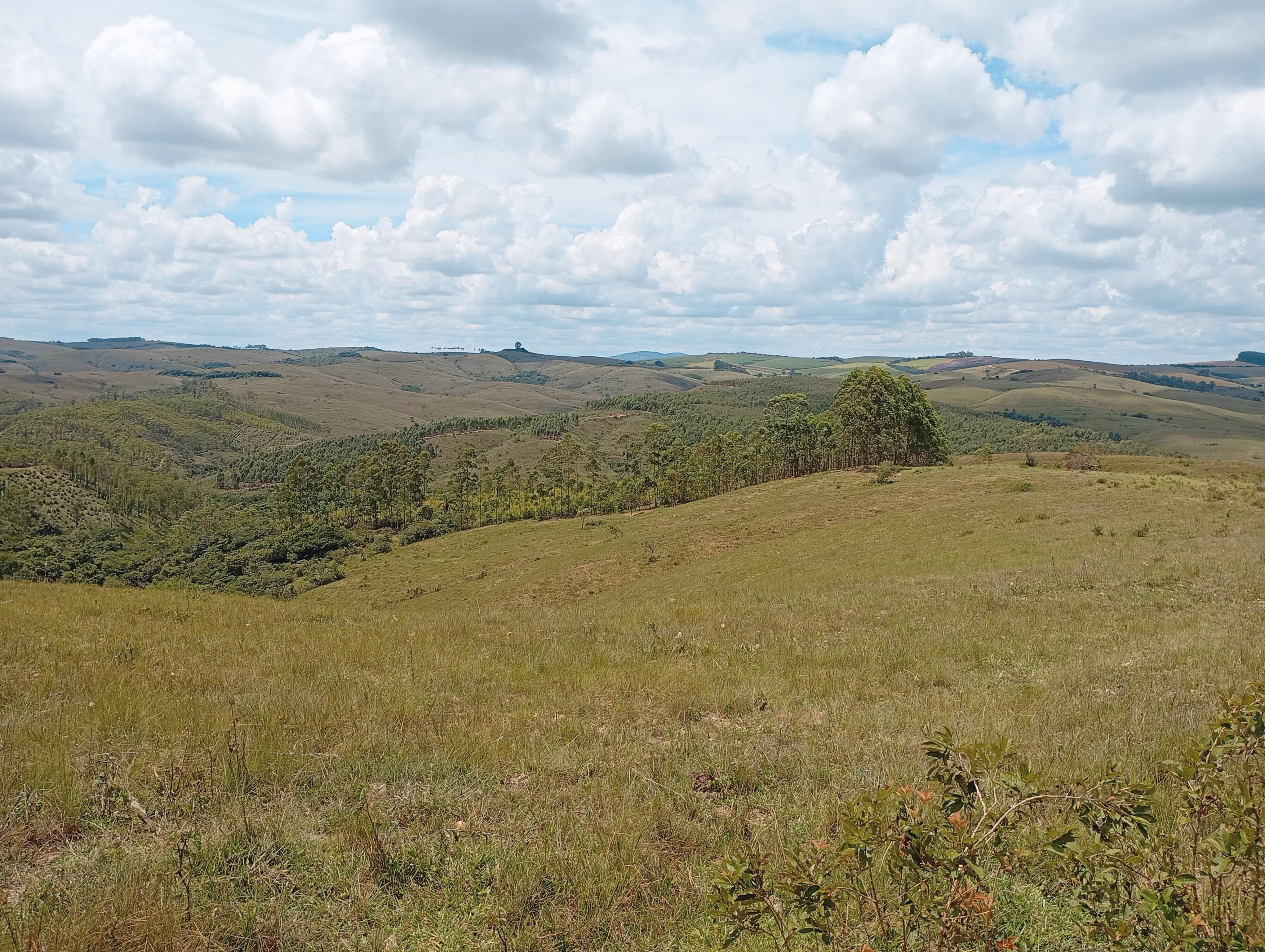 Farm of 395 acres in São João del Rei, MG, Brazil