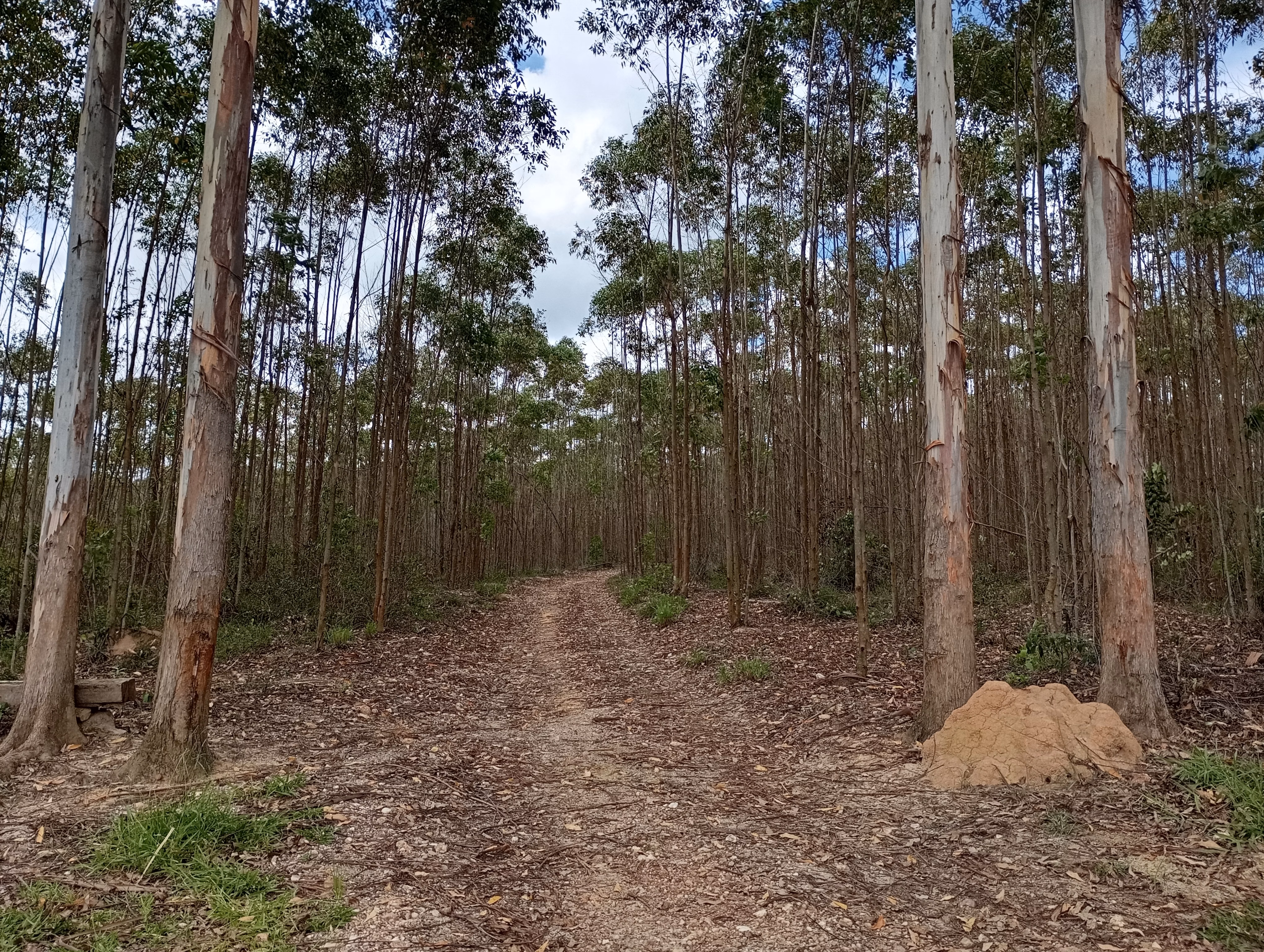 Farm of 395 acres in São João del Rei, MG, Brazil
