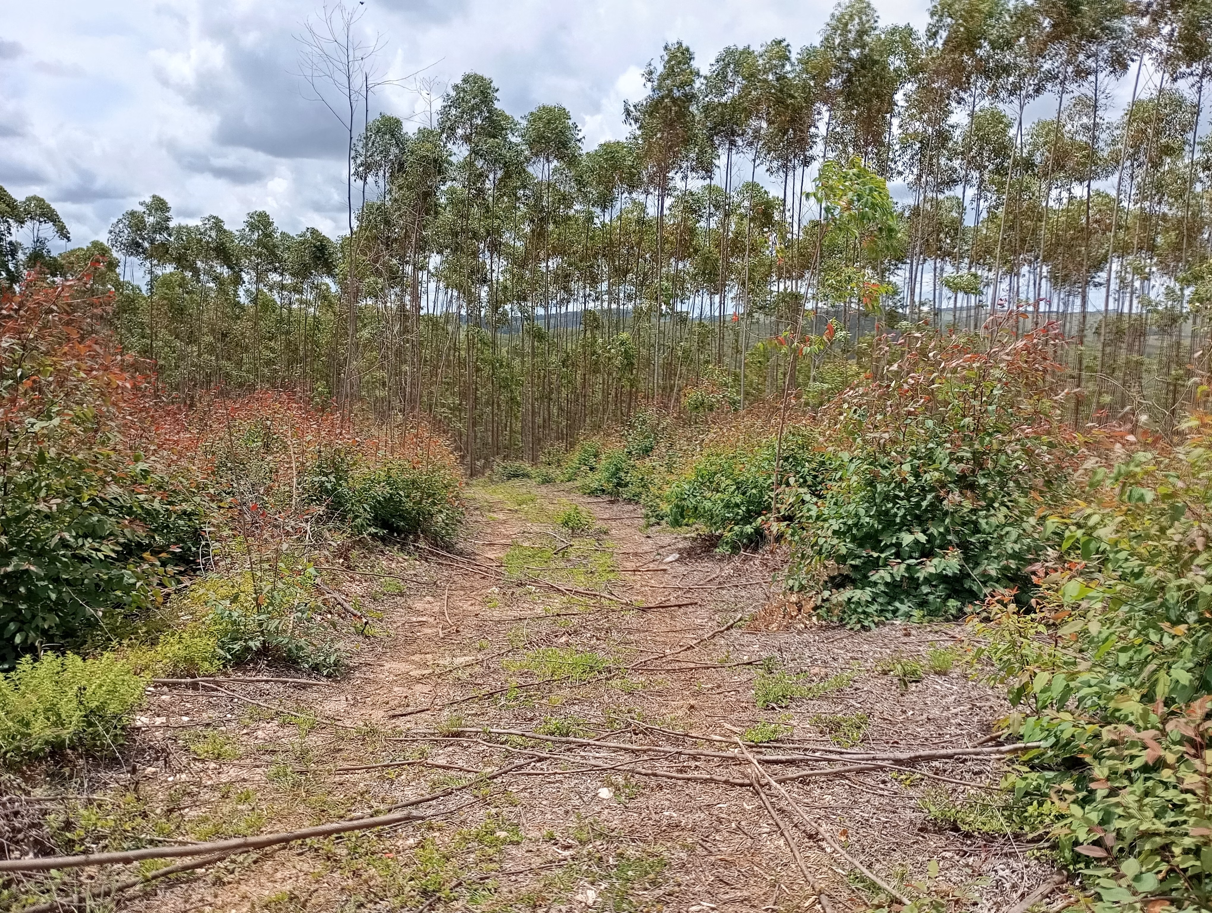 Farm of 395 acres in São João del Rei, MG, Brazil