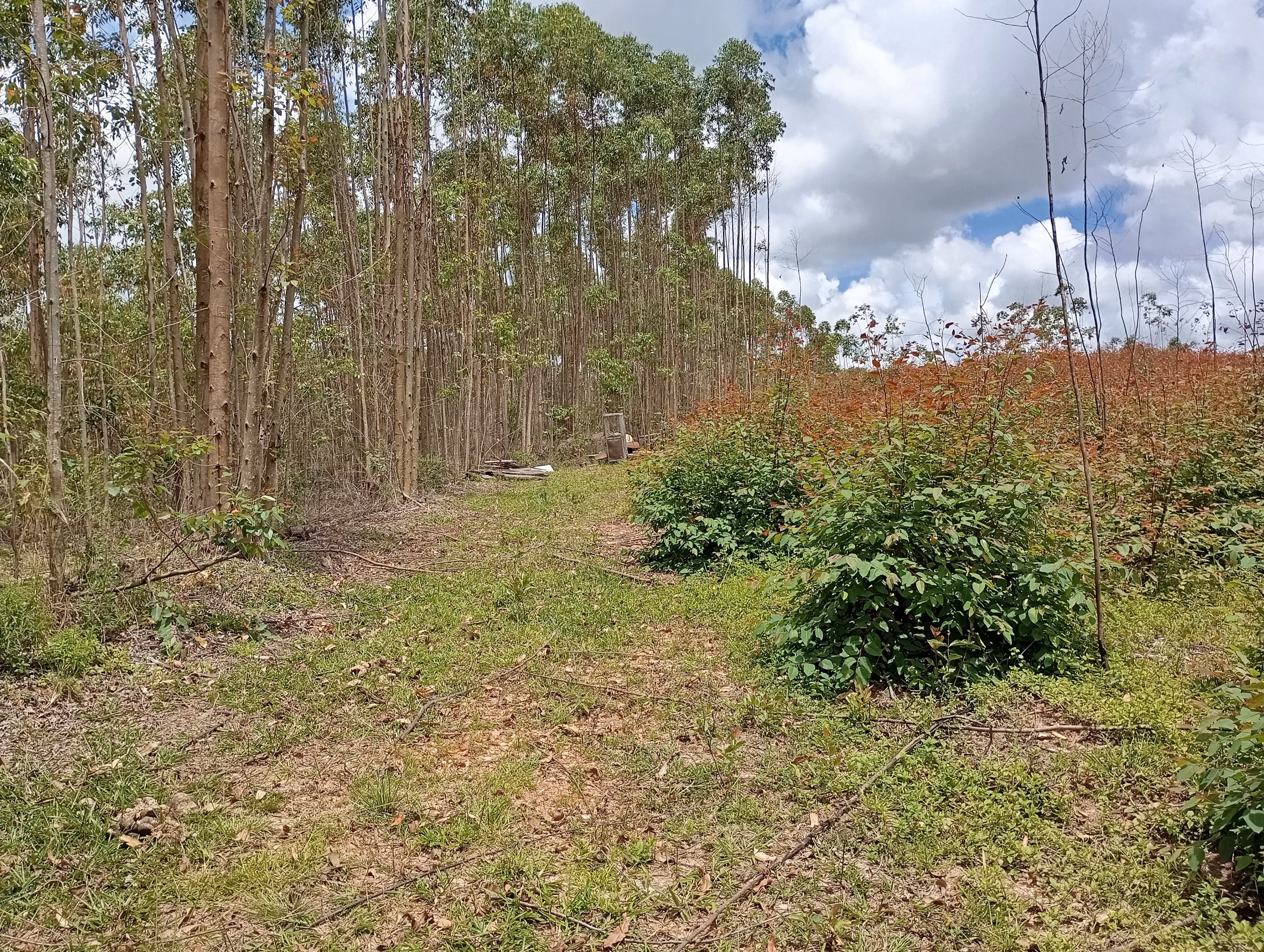 Farm of 395 acres in São João del Rei, MG, Brazil
