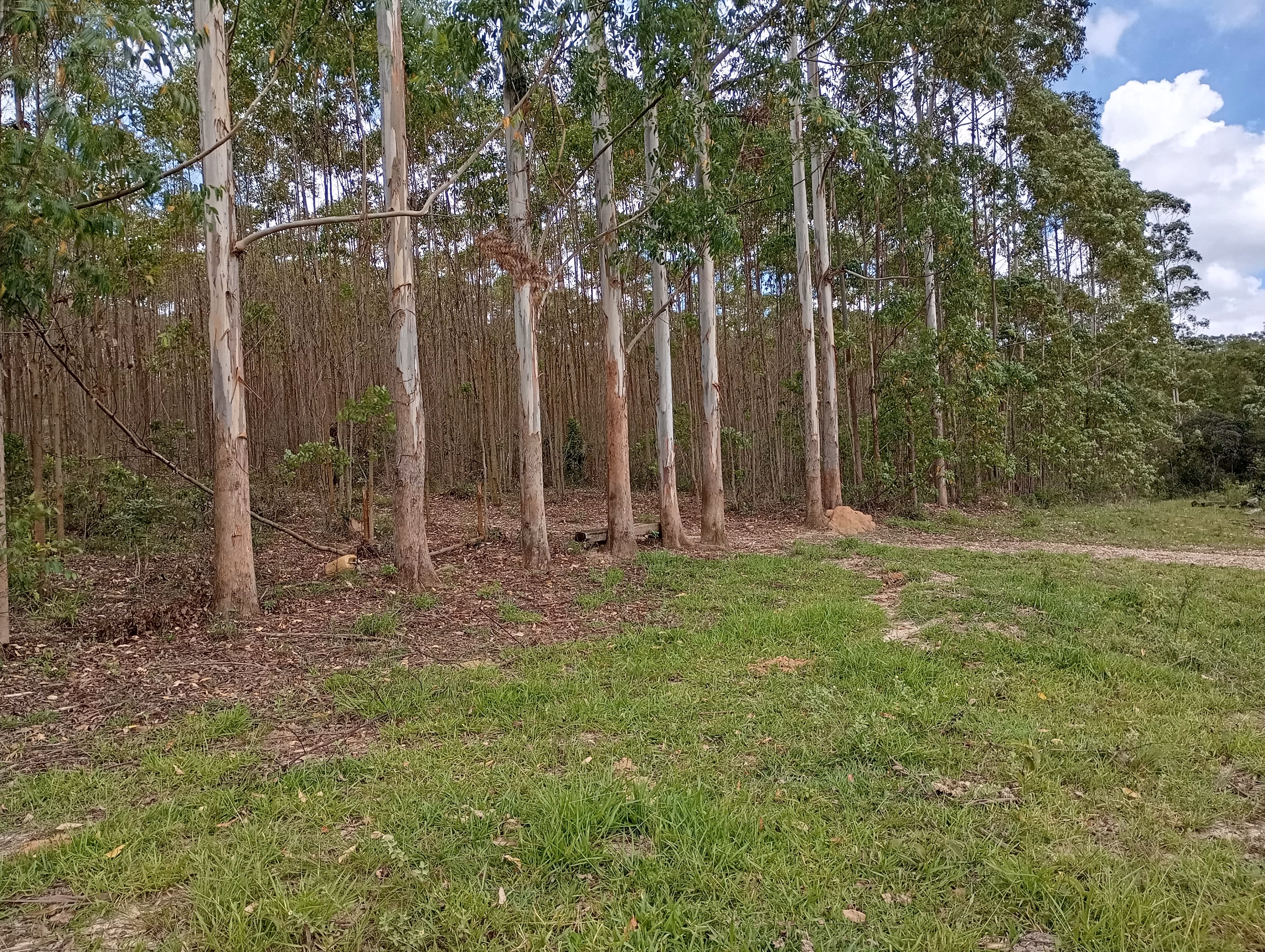 Farm of 395 acres in São João del Rei, MG, Brazil