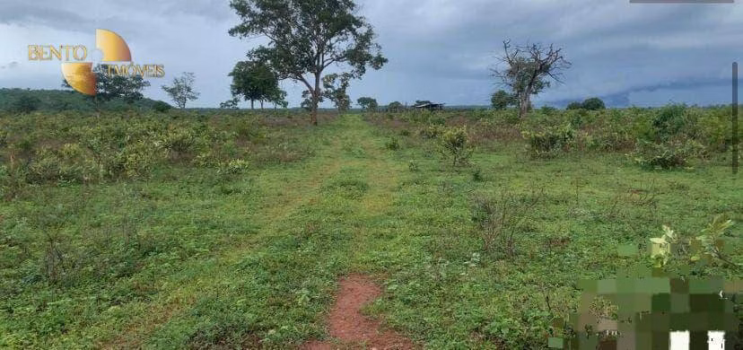 Fazenda de 1.300 ha em Primavera do Leste, MT