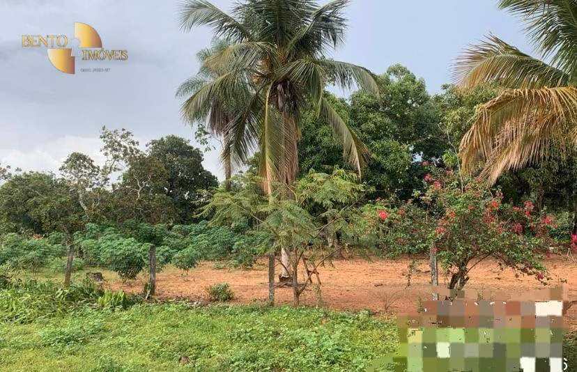Fazenda de 1,300 ha em Primavera do Leste, MT