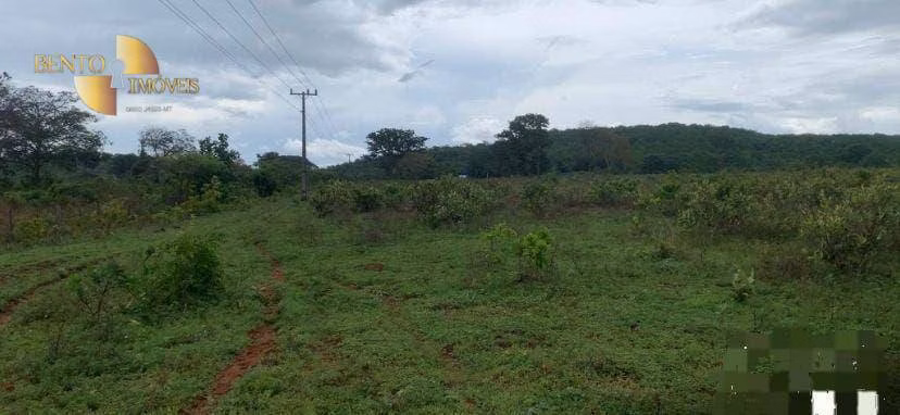 Fazenda de 1.300 ha em Primavera do Leste, MT