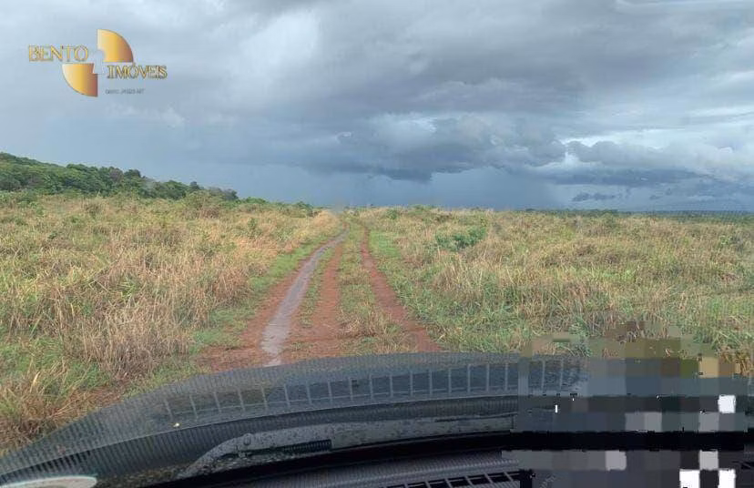 Fazenda de 1.300 ha em Primavera do Leste, MT