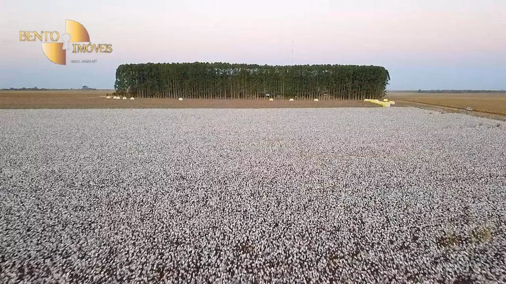 Fazenda de 3.300 ha em Nova Mutum, MT