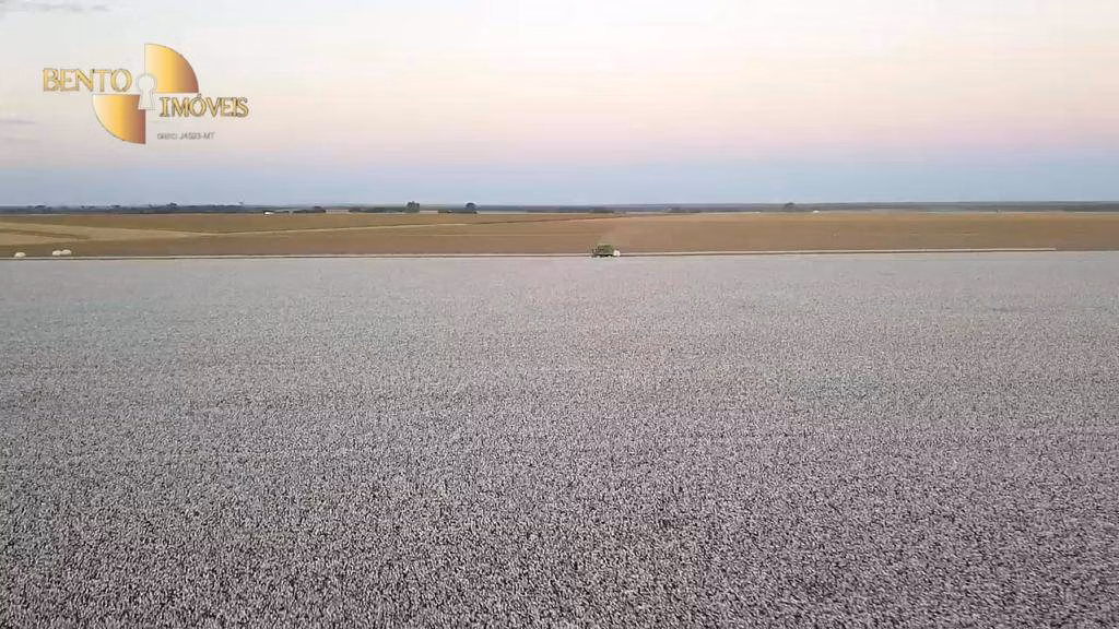 Fazenda de 3.300 ha em Nova Mutum, MT