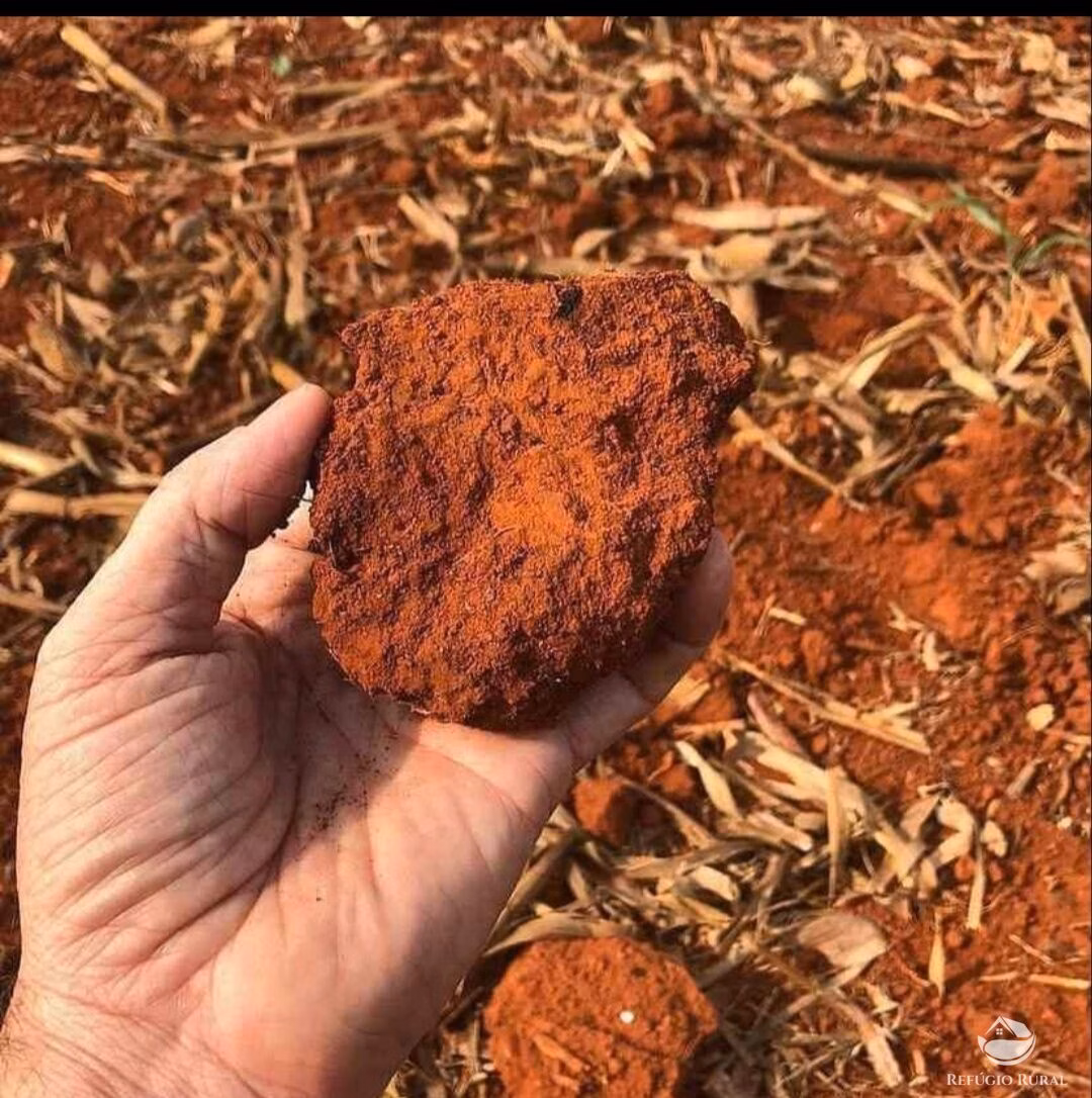 Farm of 9,118 acres in Tabaporã, MT, Brazil