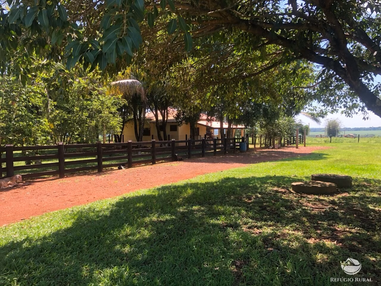 Farm of 9,118 acres in Tabaporã, MT, Brazil