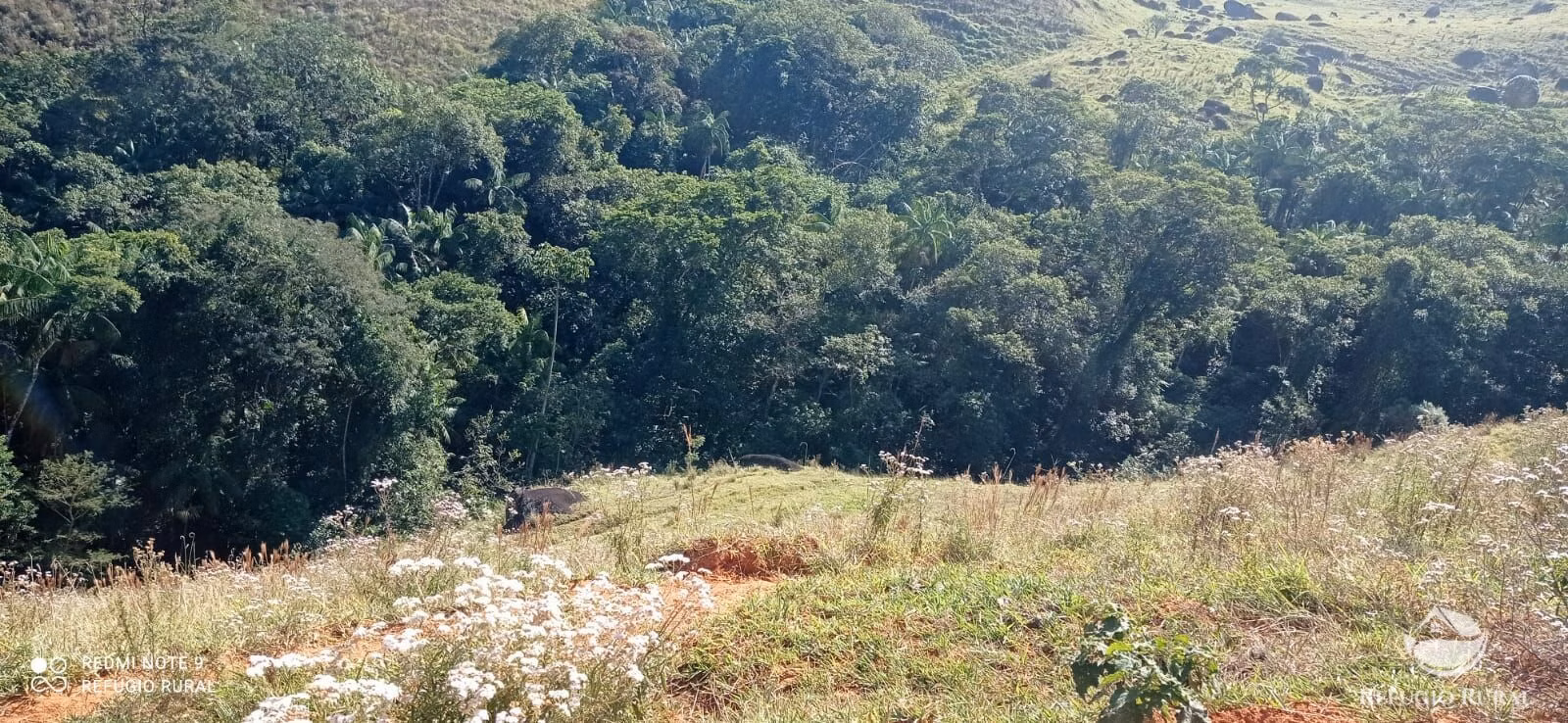 Plot of 5 acres in São José dos Campos, SP, Brazil