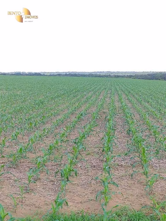 Fazenda de 7.817 ha em Paranatinga, MT