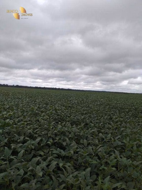 Fazenda de 7.817 ha em Paranatinga, MT