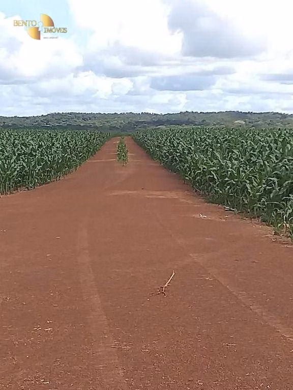 Fazenda de 7.817 ha em Paranatinga, MT