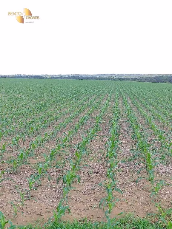 Fazenda de 7.817 ha em Paranatinga, MT