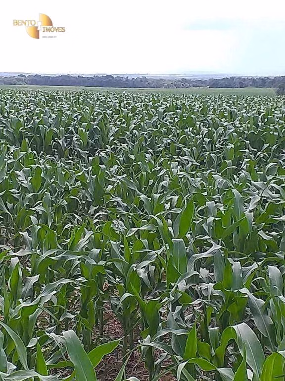 Fazenda de 7.817 ha em Paranatinga, MT