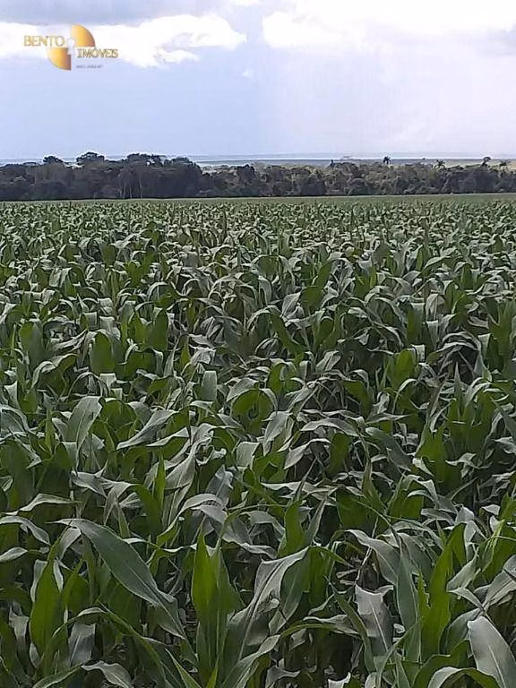 Fazenda de 7.817 ha em Paranatinga, MT