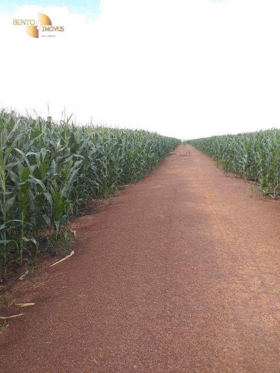 Fazenda de 7.817 ha em Paranatinga, MT