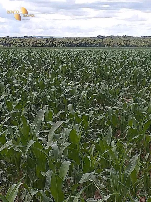 Fazenda de 7.817 ha em Paranatinga, MT