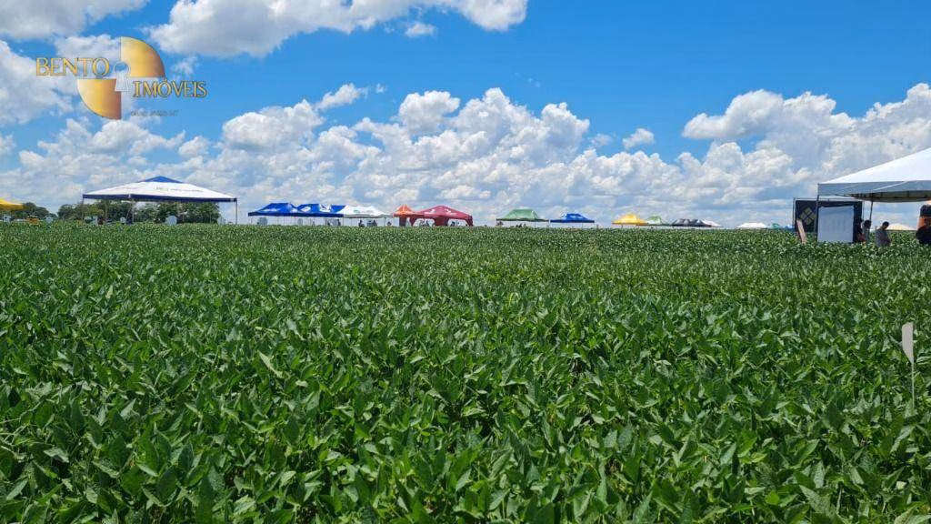 Fazenda de 7.817 ha em Paranatinga, MT